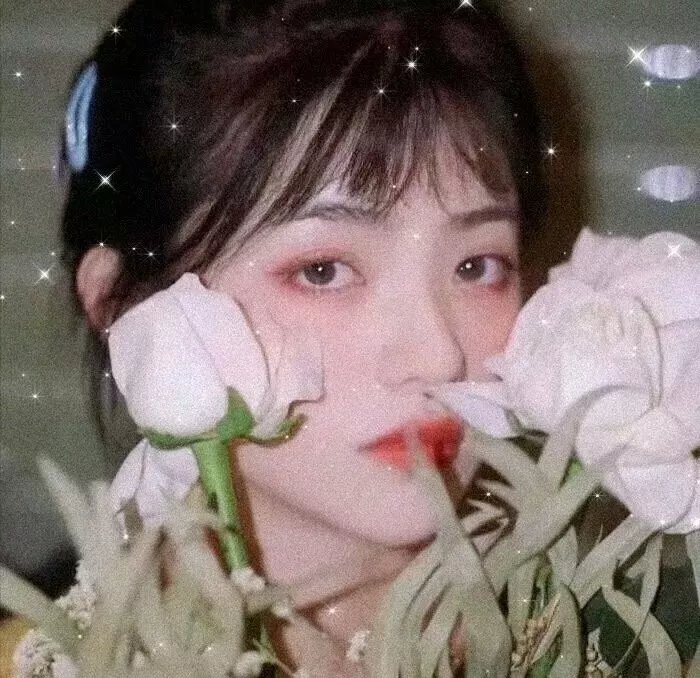 齿轮上的时空糖
